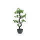 EUROPALMS Bonsai Pino Artificiale 95 cm - Decorazione Interni ed Esterni