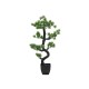EUROPALMS Bonsai Pino Artificiale 95 cm - Decorazione Interni ed Esterni