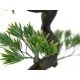 EUROPALMS Bonsai Pino Artificiale 95 cm - Decorazione Interni ed Esterni