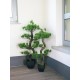 EUROPALMS Bonsai Pino Artificiale 95 cm - Decorazione Interni ed Esterni
