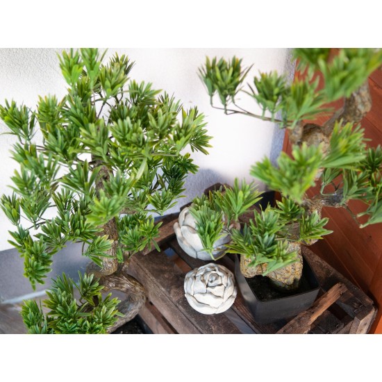 EUROPALMS Bonsai Pino Artificiale 95 cm - Decorazione Interni ed Esterni