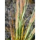 Erba Fontana Artificiale EUROPALMS 120cm - Decorazione Autunnale per Esterni