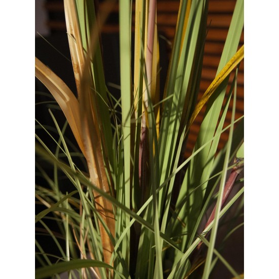 EUROPALMS Pianta Artificiale Wild Growth, 120cm, Decorazione in Stile Naturale