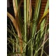 EUROPALMS Pianta Artificiale Wild Growth, 120cm, Decorazione in Stile Naturale