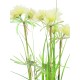 Pianta Artificiale EUROPALMS Star Grass 120cm - Decorazione Verde Realistica per Interni