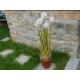 EUROPALMS Dandelion Artificiale con Fioriera, 107cm - Fiori Bianchi Realistici