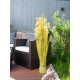 EUROPALMS Reed Grass Artificiale 118cm - Realistico con Steli Soft-Touch, Uso Esterno