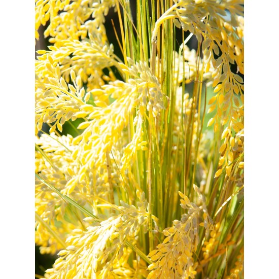 EUROPALMS Reed Grass Artificiale 118cm - Realistico con Steli Soft-Touch, Uso Esterno