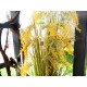 EUROPALMS Reed Grass Artificiale 118cm - Realistico con Steli Soft-Touch, Uso Esterno