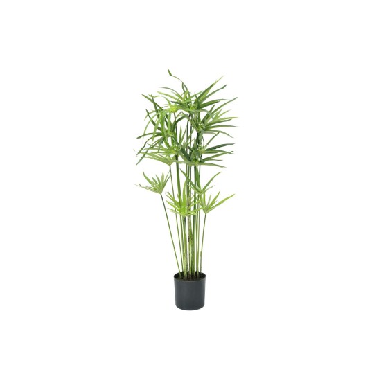 EUROPALMS Cipero Artificiale 76 cm - Decorazione Verde Realistica per Interni