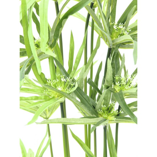 EUROPALMS Cipero Artificiale 76 cm - Decorazione Verde Realistica per Interni
