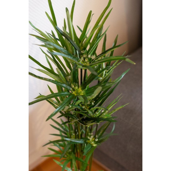 EUROPALMS Cipero Artificiale 76 cm - Decorazione Verde Realistica per Interni