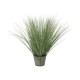 EUROPALMS Erba Ornata Artificiale 65cm - Foliage Realistico per Decorazioni
