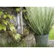 EUROPALMS Erba Ornata Artificiale 65cm - Foliage Realistico per Decorazioni
