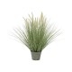 Erba Ornamentale Artificiale EUROPALMS da 70 cm con Fogliame Verde Realistico