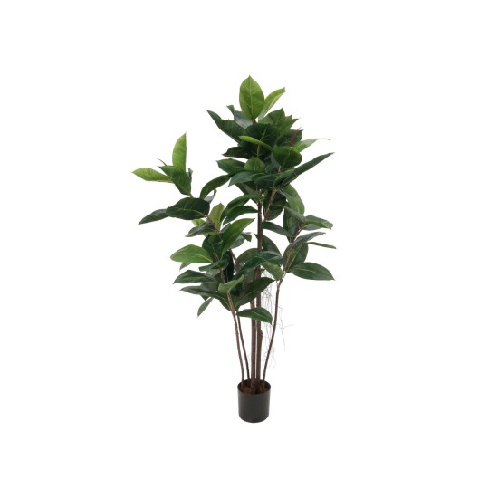 EUROPALMS Albero della Gomma Artificiale 120 cm - Pianta Decorativa Realistica