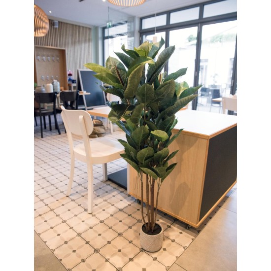 EUROPALMS Albero della Gomma Artificiale 120 cm - Pianta Decorativa Realistica