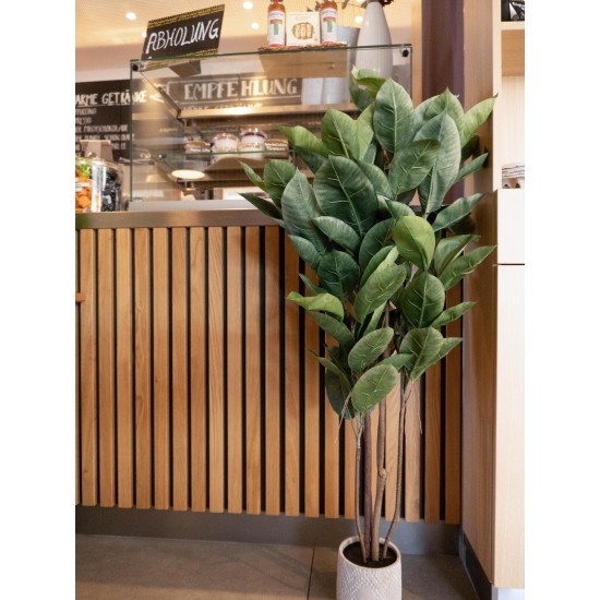 EUROPALMS Albero della Gomma Artificiale 120 cm - Pianta Decorativa Realistica