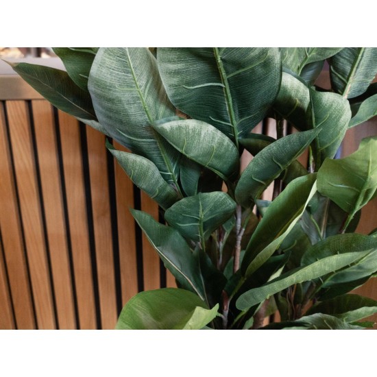 EUROPALMS Albero della Gomma Artificiale 120 cm - Pianta Decorativa Realistica