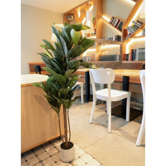EUROPALMS Albero della Gomma Artificiale 120 cm - Pianta Decorativa Realistica
