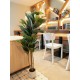 EUROPALMS Albero della Gomma Artificiale 120 cm - Pianta Decorativa Realistica