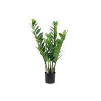 EUROPALMS Zamifolia Artificiale 70 cm - Pianta Decorativa Verde Realistica