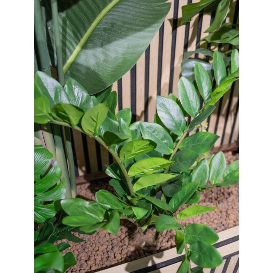 EUROPALMS Zamifolia Artificiale 70 cm - Pianta Decorativa Verde Realistica
