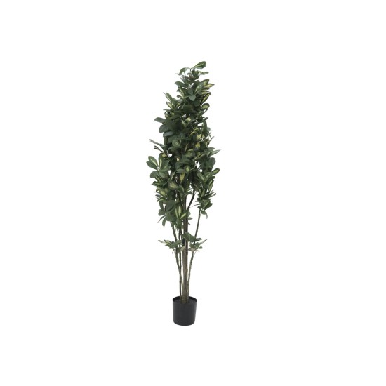 Pianta Artificiale EUROPALMS Schefflera 120cm - Decorazione Tropicale Realistica