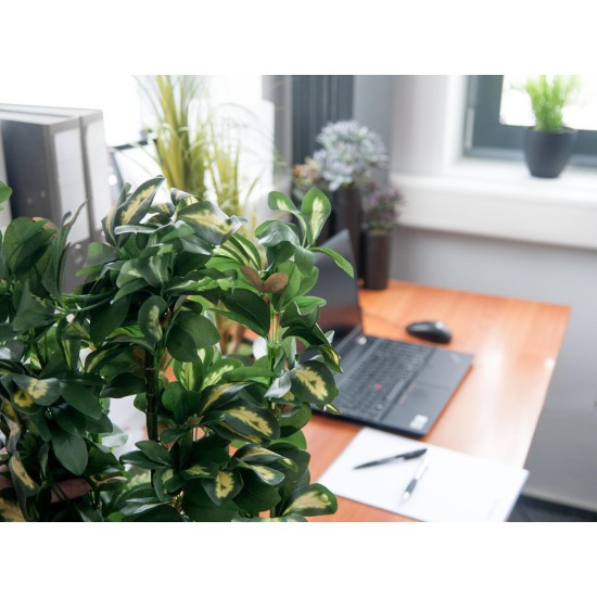 Pianta Artificiale EUROPALMS Schefflera 120cm - Decorazione Tropicale Realistica