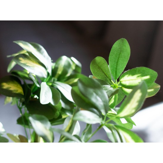 Pianta Artificiale EUROPALMS Schefflera 120cm - Decorazione Tropicale Realistica