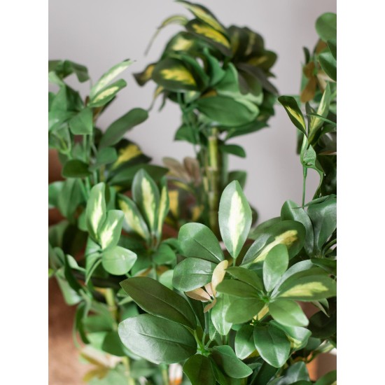 Pianta Artificiale EUROPALMS Schefflera 120cm - Decorazione Tropicale Realistica