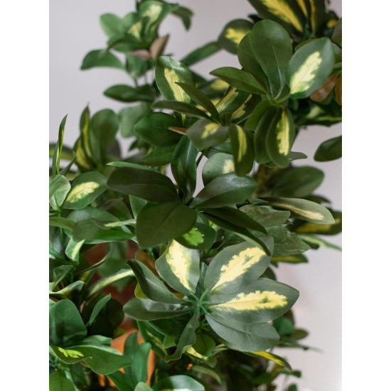 Pianta Artificiale EUROPALMS Schefflera 120cm - Decorazione Tropicale Realistica