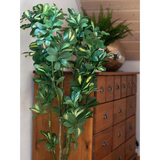 Pianta Artificiale EUROPALMS Schefflera 120cm - Decorazione Tropicale Realistica