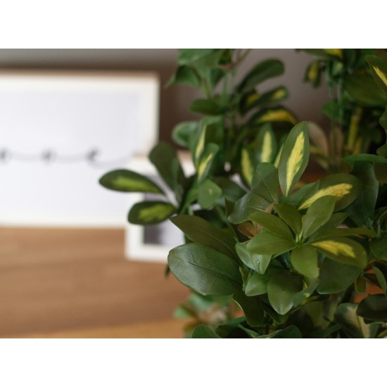 Pianta Artificiale EUROPALMS Schefflera 120cm - Decorazione Tropicale Realistica