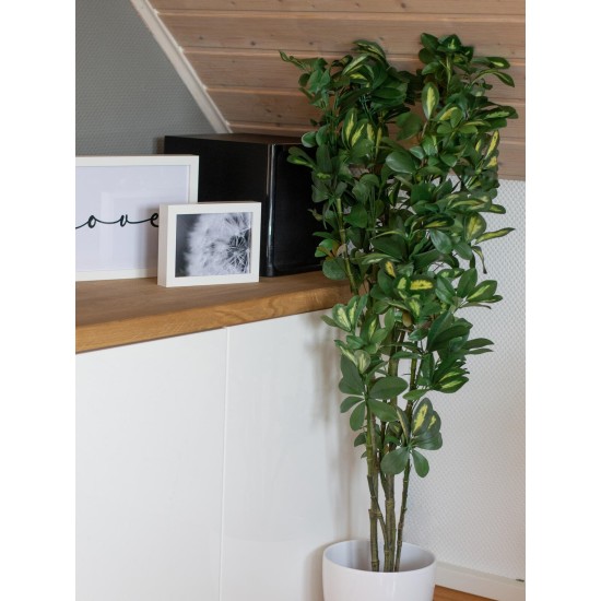 Pianta Artificiale EUROPALMS Schefflera 120cm - Decorazione Tropicale Realistica