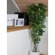 Pianta Artificiale EUROPALMS Schefflera 120cm - Decorazione Tropicale Realistica
