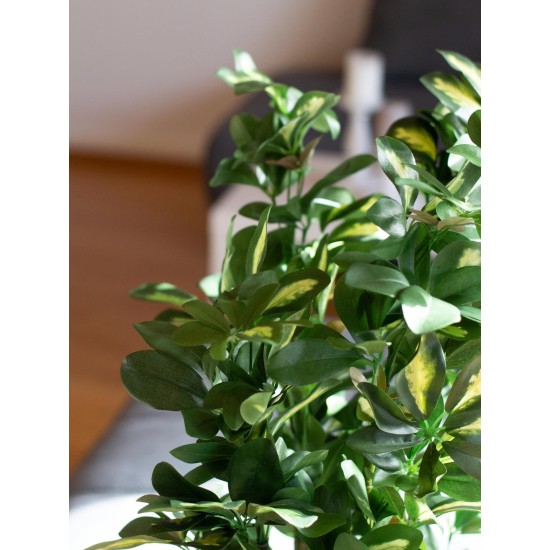 Pianta Artificiale EUROPALMS Schefflera 120cm - Decorazione Tropicale Realistica