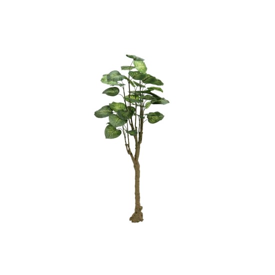 EUROPALMS Albero di Pothos Artificiale, Pianta Decorativa Sempreverde, 150cm