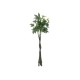 EUROPALMS Pachira Ball Tree 160cm - Pianta Artificiale Decorativa con Tronco d'Arte e Foglie Realistiche