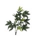 EUROPALMS Pachira Ball Tree 160cm - Pianta Artificiale Decorativa con Tronco d'Arte e Foglie Realistiche