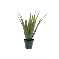 EUROPALMS Aloe Vera Artificiale 60 cm - Pianta Decorativa per Esterni