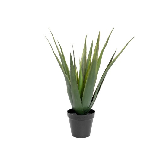 EUROPALMS Aloe Vera Artificiale 60 cm - Pianta Decorativa per Esterni