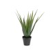 EUROPALMS Aloe Vera Artificiale 60 cm - Pianta Decorativa per Esterni