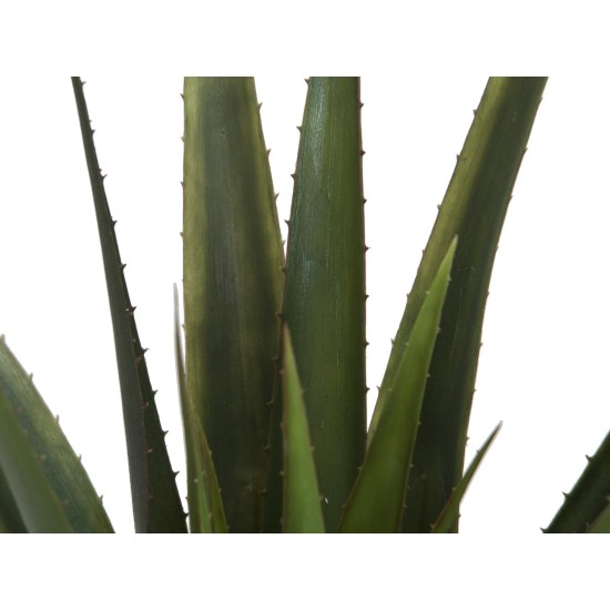 EUROPALMS Aloe Vera Artificiale 60 cm - Pianta Decorativa per Esterni