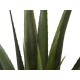 EUROPALMS Aloe Vera Artificiale 60 cm - Pianta Decorativa per Esterni