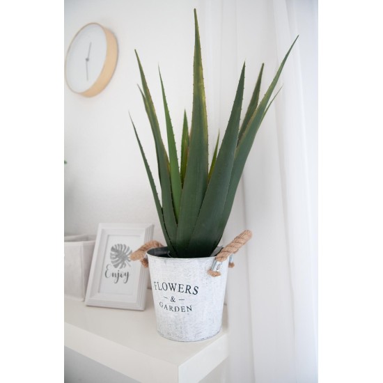 EUROPALMS Aloe Vera Artificiale 60 cm - Pianta Decorativa per Esterni
