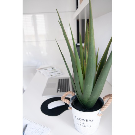 EUROPALMS Aloe Vera Artificiale 60 cm - Pianta Decorativa per Esterni