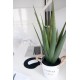 EUROPALMS Aloe Vera Artificiale 60 cm - Pianta Decorativa per Esterni