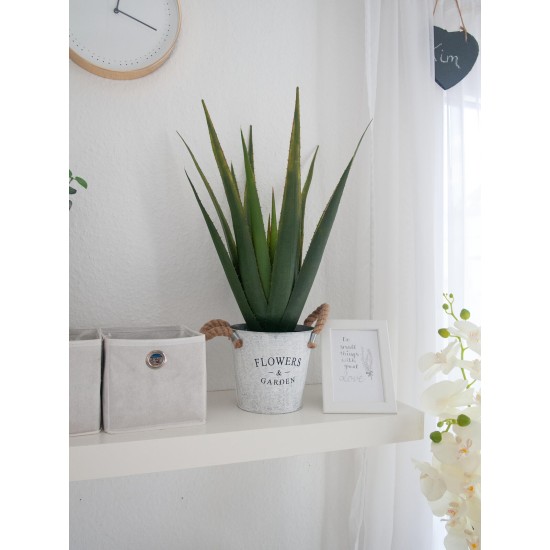 EUROPALMS Aloe Vera Artificiale 60 cm - Pianta Decorativa per Esterni