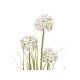 EUROPALMS Allium Grass Artificiale Bianco 120 cm - Pianta Ornamentale in Vaso